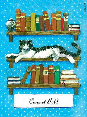 B190-Cat-laying-on-bookshelf-