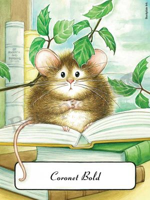 B286-Mouse-on-open-book-
