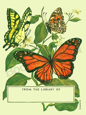 BP177-Tom-Till-butterfliesbookplate