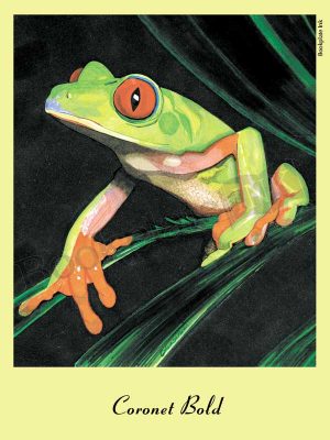 C103-tree-frog-bookplate