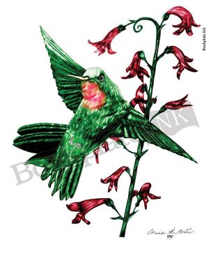 C105-Hummingbird-and-flower-bookplate