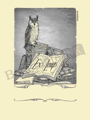 W3-Perched-owl-Pringle-bookplate