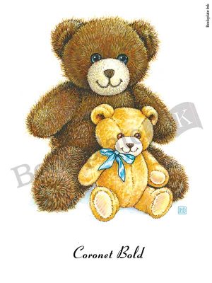 C208-teddy-bears-bookplate